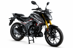 موتور hornet ht200